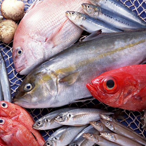 Mức giá sẽ luôn là tốt nhất khi bạn chọn mua cá trắm giòn hoặc bất cứ loại hải sản nào tại Gia đình Hải Sản