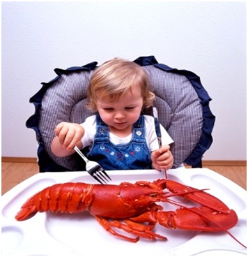 Khi nào thì trẻ nên ăn hải sản